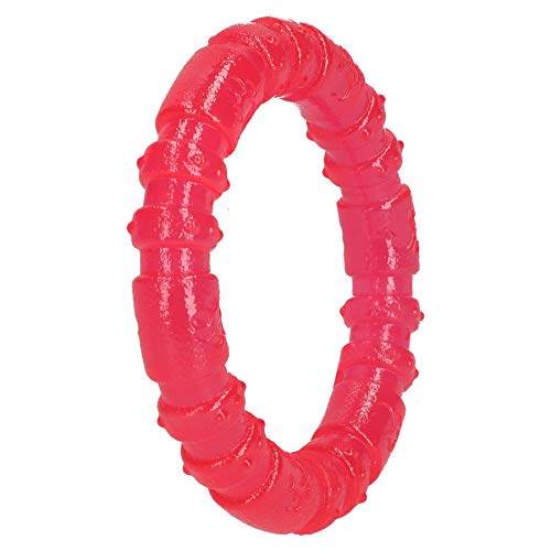 AB Tools Pink BioSafe Germ Smart Puppy Ring Toy Small Dog Toy AB Tools Pink BioSafe Germ Smart Puppy Ring Toy Small Dog Toy von AB Tools