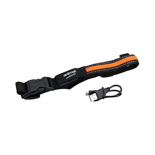 AB Tools Sicherheitshalsband, wiederaufladbar, blinkend, Größe M, 40-50 cm, Orange von AB Tools