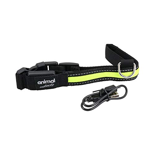 AB Tools Sicherheitshalsband für Hunde, hohe Sichtbarkeit, wiederaufladbar, blinkend, 45-63 cm, Gelb von AB Tools