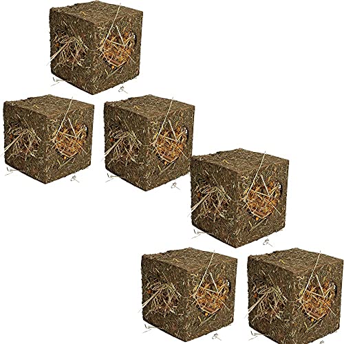 Heuwürfel für kleine Tiere, Meerschweinchen, Kaninchen, Langeweile und Heuwürfel, 6 Stück Heuwürfel für kleine Tiere, Meerschweinchen, Kaninchen, Langeweile und Heuwürfel, 6 Stück von AB Tools