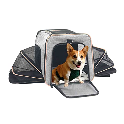 ABISTAB Hundebox faltbar Transportbox Hunde und Katze Transporttasche für Auto- und Flugreisen geeignet Tragetasche Maxi zweiseitig ausklappbar von ABISTAB