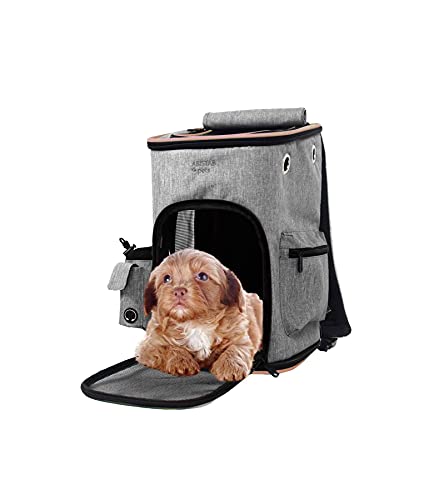 ABISTAB Pets robuster Faltbarer Rucksack Haustier Transportbox Hunde und Katze Tragetasche bis 5kg, Atmungsaktive Netz mit Komfort und Sicherheit (Grau-Rot) von ABISTAB