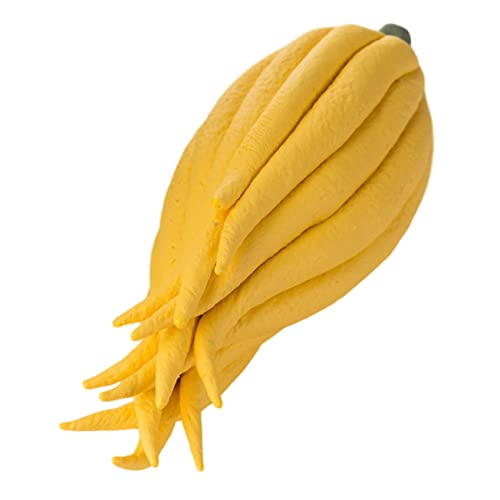 ABOOFAN 2 STK Chayote-Tee-Haustier Zappeln Matschige Spielzeuge Würfel Serviette Schneebesen Teeschweine Teelöffel Matschiges Gadgets Tee-Ei Zappelspielzeug Masse Zubehör Keramik ABOOFAN 2 STK Chayote-Tee-Haustier Zappeln Matschige Spielzeuge Würfel Serviette Schneebesen Teeschweine Teelöffel Matschiges Gadgets Tee-Ei Zappelspielzeug Masse Zubehör Keramik von ABOOFAN
