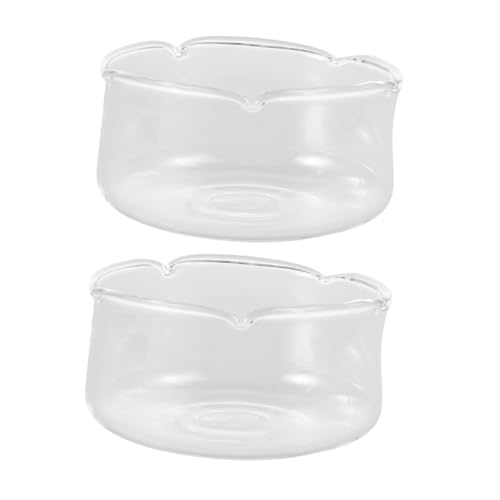 ABOOFAN 2 Stück Transparenter Glasblumentopf Terrarienglas Aquarium Aquarium Pflanzenbehälter Aus Glas Für Terrarien Tischfischbecken Glastöpfe Für Pflanzen Kleines Glasterrarium Glasvase von ABOOFAN
