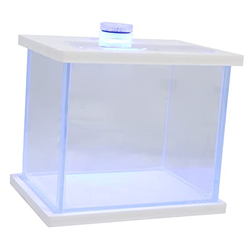 ABOOFAN Aquarium Aquarienset aus -Bausätze hochzeitsdeko hochzeits Dekoration Zubehör für Betta-Fische Mini-Terrarium Zubehör für die Fischfütterung zu Hause Tankzubehör klein ABOOFAN Aquarium Aquarienset aus -Bausätze hochzeitsdeko hochzeits Dekoration Zubehör für Betta-Fische Mini-Terrarium Zubehör für die Fischfütterung zu Hause Tankzubehör klein von ABOOFAN