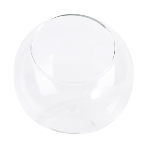 ABOOFAN Glas Terrarium Pflanzgefäß Kugelform Øcm Mikro Landschaft Flaschenkugel für Mini Pflanzen Wohnzimmer Büro Dekoration Umweltfreundlich Nachhaltig von ABOOFAN