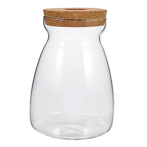 ABOOFAN Glass Terrarium Für Pflanzen Und Sukkulenten Großes Transparentes Eco-glasgefäß Mit Korkdeckel Für Mikrolandschaften Und Hydroponik-Dekoration Innenräumen ABOOFAN Glass Terrarium Für Pflanzen Und Sukkulenten Großes Transparentes Eco-glasgefäß Mit Korkdeckel Für Mikrolandschaften Und Hydroponik-Dekoration Innenräumen von ABOOFAN