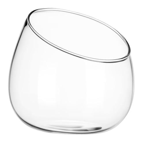 ABOOFAN Glasvase mit Schrägem Öffnungswinkel Dekorativer Pflanzentopf Terrarium-Design für Sukkulenten Moos und Blumen Stilvolle Glasdekoration für Wohnzimmer Büro und von ABOOFAN