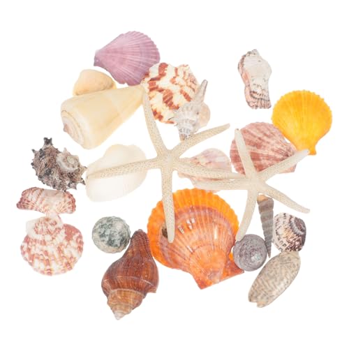 ABOOFAN Natürliche Muscheln und Seesterne DIY Schmuckmaterial für Armbänder und Halsketten Leichtes Bastelset für Stranddeko und Geburtstagsgeschenke Sicher und Langlebig von ABOOFAN