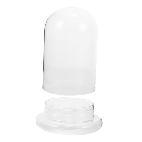 ABOOFAN Pflanzenterrarium mit Glockenglaskuppel DIY Pflanzgefäß für Kreative Mikro Landschaften für Tischdekoration im Wohnzimmer Büro und Garten Langlebig und Leicht ABOOFAN Pflanzenterrarium mit Glockenglaskuppel DIY Pflanzgefäß für Kreative Mikro Landschaften für Tischdekoration im Wohnzimmer Büro und Garten Langlebig und Leicht von ABOOFAN