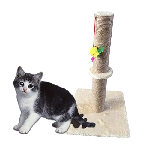 ABOOFAN Katzenwand-kratzbaum Stabile Kratzbretter Für Katzen Katzenbaum Katzenkletterständer Katzenklettersäule Katzenkletterpfosten Katzenkletterbaum Katzenspielzeug Haustierbedarf ABOOFAN Katzenwand-kratzbaum Stabile Kratzbretter Für Katzen Katzenbaum Katzenkletterständer Katzenklettersäule Katzenkletterpfosten Katzenkletterbaum Katzenspielzeug Haustierbedarf von ABOOFAN