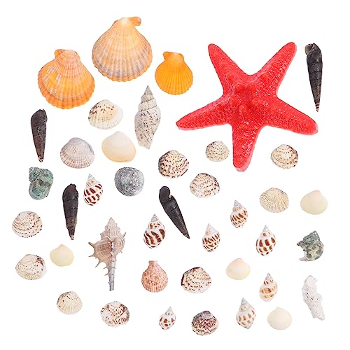 ABOOFAN Strandmuscheln Für DIY Handwerk Mit Natürlichen Muscheln Und Meeresschnecken Für Aquarium Dekoration Und Microlandschaftsdekor ABOOFAN Strandmuscheln Für DIY Handwerk Mit Natürlichen Muscheln Und Meeresschnecken Für Aquarium Dekoration Und Microlandschaftsdekor von ABOOFAN