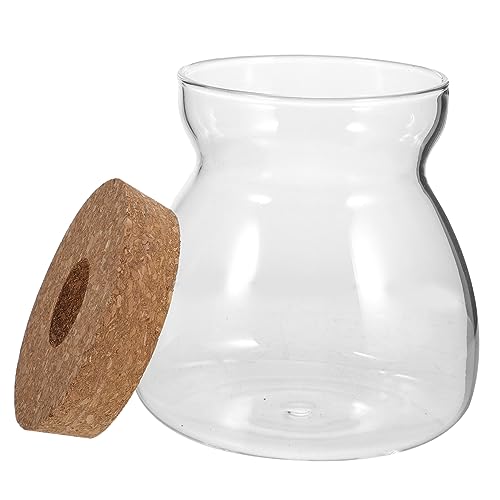 ABOOFAN Terrarium mit Deckel Mittlerer Hydroponischer Pflanzenbehälter für Sukkulenten und Mikro Landschaften für Dekorative Innenräume Transparentes Design mit Praktischem im Deckel von ABOOFAN
