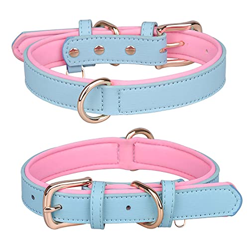 ABRRLO Hundehalsband Hund Halsbänder pet Dog Collar Halsband für Kleine Mittel Große Hund Komfortabel und Verstellbare（Blau M） von ABRRLO