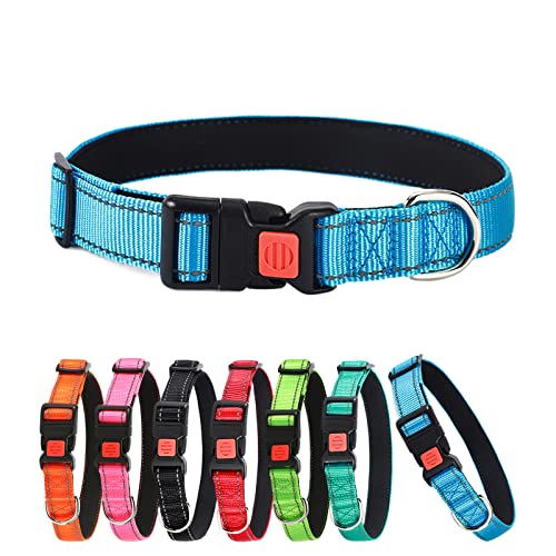 ABRRLO Hundehalsband Reflektierende Hund Halsband Verstellbare Nylon Hunde Halsbänder Pet Dog Collar for Kleine Mittel Große Hunde（Himmelblau,XL） von ABRRLO