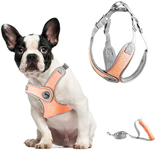 ABRRLO Pet Hundegeschirr für Kleine Mittlere Hunde Reflektierend Geschirr Vest Air-Mesh Einstellbar Dog Harness Weich Gepolstert Atmungsaktiv (XS, orange) von ABRRLO