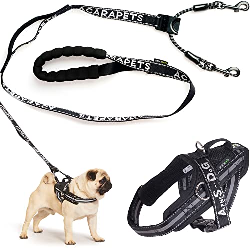 ACARAPETS Hundegeschirr und Leine, 3 Ringe, gepolstert und atmungsaktiv, mit elastischer Bifida-Leine, reflektierend, verstellbar, zum Gehen und Laufen, Schwarz, S mit Leine ACARAPETS Hundegeschirr und Leine, 3 Ringe, gepolstert und atmungsaktiv, mit elastischer Bifida-Leine, reflektierend, verstellbar, zum Gehen und Laufen, Schwarz, S mit Leine von ACARAPETS