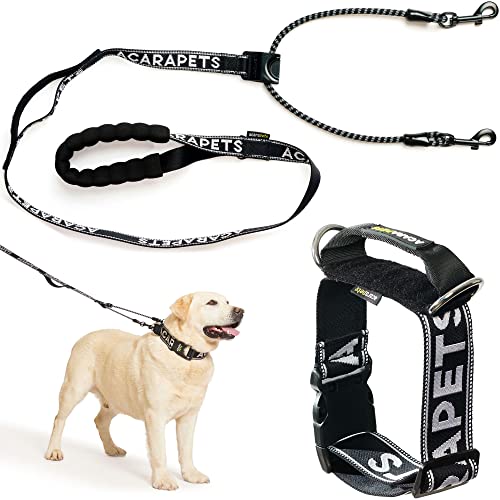 Reflektierende Hundeleine und Halsband, doppelte Verankerung mit Riemenscheibeneffekt, verstellbar in 4 Größen, verhindert Ertrinken und verteilt Druck, Sicherheit und Kontrolle beim Gehen und Reflektierende Hundeleine und Halsband, doppelte Verankerung mit Riemenscheibeneffekt, verstellbar in 4 Größen, verhindert Ertrinken und verteilt Druck, Sicherheit und Kontrolle beim Gehen und von ACARAPETS