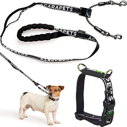 Reflektierende Hundeleine und Halsband, doppelte Verankerung mit Riemenscheibeneffekt, verstellbar in 4 Größen, verhindert Ertrinken und verteilt Druck, Sicherheit und Kontrolle beim Gehen und Reflektierende Hundeleine und Halsband, doppelte Verankerung mit Riemenscheibeneffekt, verstellbar in 4 Größen, verhindert Ertrinken und verteilt Druck, Sicherheit und Kontrolle beim Gehen und von ACARAPETS