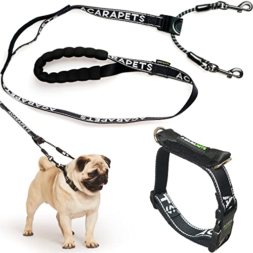 Reflektierende Hundeleine und Halsband, doppelte Verankerung mit Riemenscheibeneffekt, verstellbar in 4 Größen, verhindert Ertrinken und verteilt Druck, Sicherheit und Kontrolle beim Gehen und Reflektierende Hundeleine und Halsband, doppelte Verankerung mit Riemenscheibeneffekt, verstellbar in 4 Größen, verhindert Ertrinken und verteilt Druck, Sicherheit und Kontrolle beim Gehen und von ACARAPETS