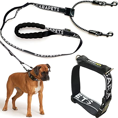 Reflektierende Hundeleine und Halsband, doppelte Verankerung mit Riemenscheibeneffekt, verstellbar in 4 Größen, verhindert Ertrinken und verteilt Druck, Sicherheit und Kontrolle beim Gehen und Reflektierende Hundeleine und Halsband, doppelte Verankerung mit Riemenscheibeneffekt, verstellbar in 4 Größen, verhindert Ertrinken und verteilt Druck, Sicherheit und Kontrolle beim Gehen und von ACARAPETS