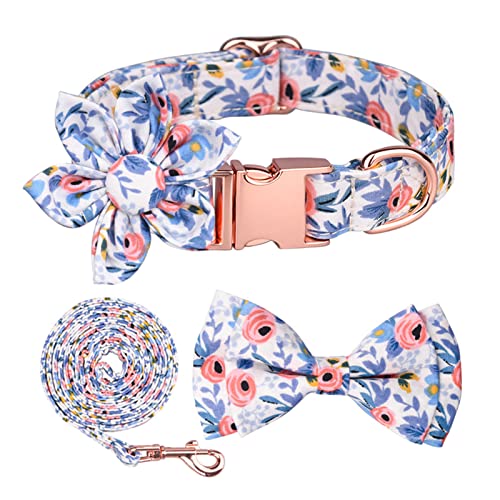 Halsband und Leine für Hunde, Blumenmuster, mit abnehmbarer Schleife, Halsband für Hunde, mit verstellbarer Schnalle aus Metall, roségoldfarben, für Hunde (M, blau) von ACAREY