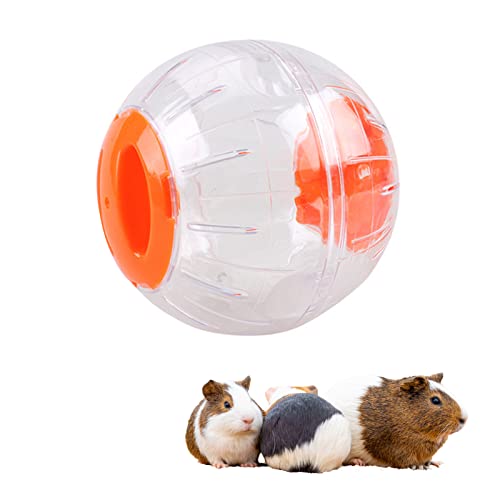 Hamster Übungsball für Haustiere, Kunststoff, transparent, niedlich, für kleine Tiere (Orange) von ACAREY