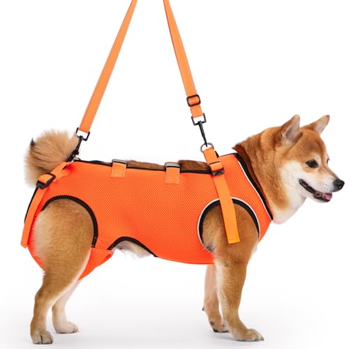 ACDOK Hundegeschirr, Ganzkörperunterstützung und Genesungsschlinge, Netzgewebe, verstellbare Gurte mit Griff, für ältere und Gelenkverletzungen, Arthritis, behinderte Hunde, Orange, Größe M ACDOK Hundegeschirr, Ganzkörperunterstützung und Genesungsschlinge, Netzgewebe, verstellbare Gurte mit Griff, für ältere und Gelenkverletzungen, Arthritis, behinderte Hunde, Orange, Größe M von ACDOK