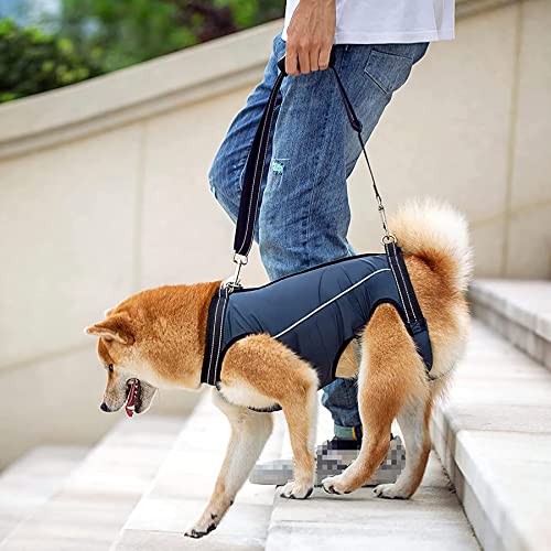Hundegeschirr leicht, Hund Ganzkörperunterstützung & Rehabilitation Sling Lift Verstellbare Gurte mit Griff für alte, Verlust der Stabilität Hunde Spaziergang (Medium, Marineblau) von ACDOK