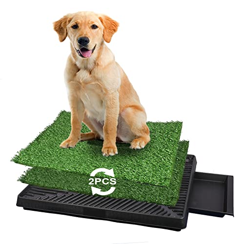 Grasunterlage für Hunde, Hundegrasmatte mit Tablett, Welpenrasentöpfchen, Welpenpflaster für große und kleine Haustiere, Hundekatzenklo (63.5x50.8 cm) von ACGEFIR
