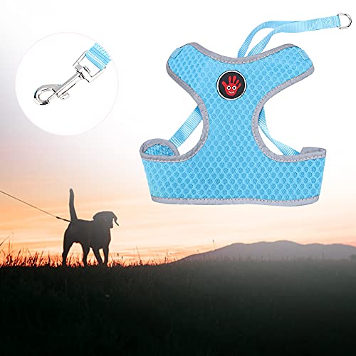 ACOGEDO Hundekabelbaum, Ziehen von Traktion Leinen Seil Polyester Atmungsaktives Mesh Weste Haustier Brustbandgurt Hundegurt mit Mittlerem Hund Hundekabelbaum und Leine für Kleine, Mittlere Hunde, (L) ACOGEDO Hundekabelbaum, Ziehen von Traktion Leinen Seil Polyester Atmungsaktives Mesh Weste Haustier Brustbandgurt Hundegurt mit Mittlerem Hund Hundekabelbaum und Leine für Kleine, Mittlere Hunde, (L) von ACOGEDO