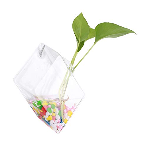 ACOGEDO Wandvasen für Blumen, Glashängepflanzen Vase Wand Pflanzer Wandpflanzenhalter für Wohnkultur (Typ 3) von ACOGEDO