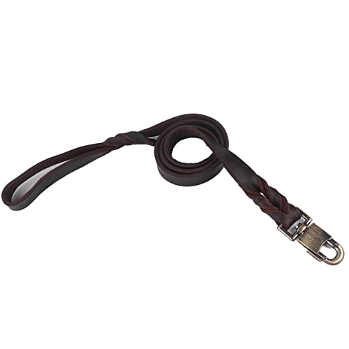 Premium Weiche Lederhundkragen und Leinen -Set mit Geflochtenem Design für mittel- und Große Hunde 2,5 X 90 cm - Robuster, Umweltfreundlicher Haustierhalsgurt für Sicheres Gehen (2,5 * 120 cm) von ACOGEDO