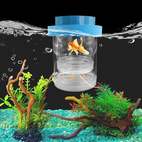 Kleine schwimmende Fischzuchtbox, Kunststoff-Zuchtbox für Aquarien mit Saugnapf, transparenter Aquarium-Trenner, Inkubator, verstellbare Isolationsbruterie für Garnelen, Guppy (klein) von ACOSIY