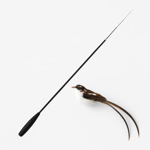 ACTOYS Katzenangel, Katzenangel Stabil, Katzenspielzeug Angel Lang, 175cm, Katzenspielzeug Vogel (Lang) von ACTOYS