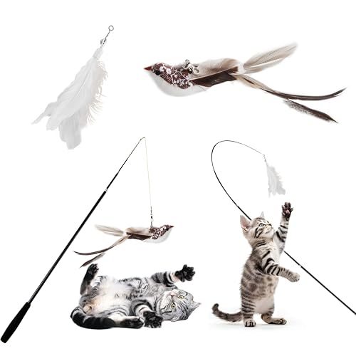 ACTOYS Katzenangel, Katzenangel Stabil, Katzenspielzeug Angel Lang, 175cm, Katzenspielzeug Vogel (Lang) von ACTOYS