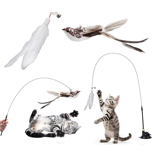 ACTOYS Katzenangel, Katzenangel Stabil, Katzenspielzeug Angel Saugnapf, Katzenspielzeug Selbstbeschäftigung (Kurz) von ACTOYS