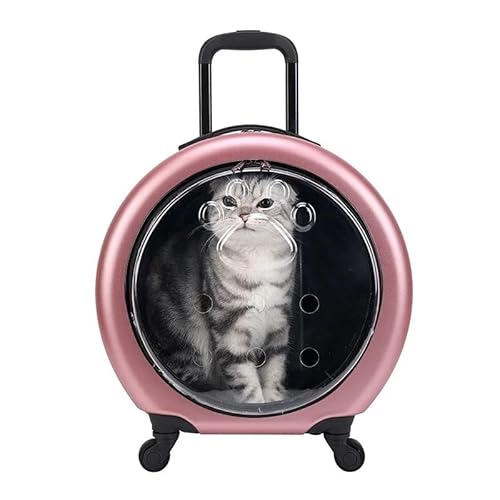 Haustier-Buggy for kleine Miniaturhunde und -katzen. Faltbarer Reisewagen mit Rädern. Leicht zu manövrieren und zu verstauen. Geeignet for verschiedene kleine Haustiere. Ideal for Spazierengehen und R Haustier-Buggy for kleine Miniaturhunde und -katzen. Faltbarer Reisewagen mit Rädern. Leicht zu manövrieren und zu verstauen. Geeignet for verschiedene kleine Haustiere. Ideal for Spazierengehen und R von AD-BCrbgen