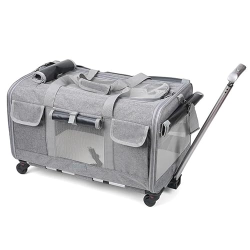 Haustier-Buggy for kleine Miniaturhunde und -katzen. Faltbarer Reisewagen mit Rädern. Leicht zu manövrieren und zu verstauen. Geeignet for verschiedene kleine Haustiere. Ideal for Spazierengehen und R Haustier-Buggy for kleine Miniaturhunde und -katzen. Faltbarer Reisewagen mit Rädern. Leicht zu manövrieren und zu verstauen. Geeignet for verschiedene kleine Haustiere. Ideal for Spazierengehen und R von AD-BCrbgen