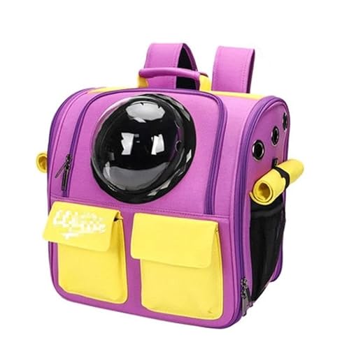 Katzentragetasche, Haustier-Hundetrage, Haustier-Reisetrage, Katzen-Reisetrage, leicht, atmungsaktiv, for mittelgroße Katzen, kleine Katzen, Hunde, Katzen-Hunde-Rucksack, Haustier-Tragetasche(Purple) Katzentragetasche, Haustier-Hundetrage, Haustier-Reisetrage, Katzen-Reisetrage, leicht, atmungsaktiv, for mittelgroße Katzen, kleine Katzen, Hunde, Katzen-Hunde-Rucksack, Haustier-Tragetasche(Purple) von AD-BCrbgen