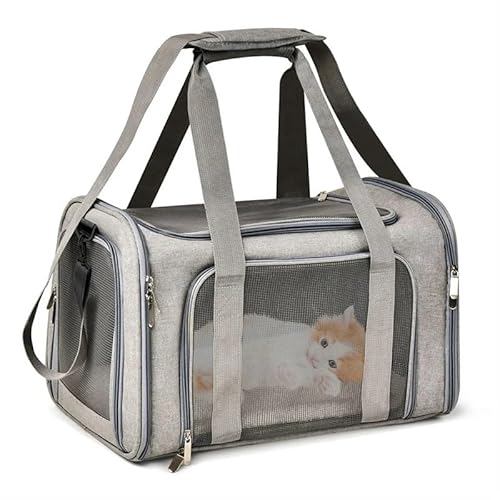Katzentragetasche, Haustier-Hundetrage, Haustier-Reisetrage, Katzen-Reisetrage, leicht, atmungsaktiv, for mittelgroße Katzen, kleine Katzen, Hunde, Katzen-Hunde-Rucksack, Haustier-Tragetasche(Gray,L ( Katzentragetasche, Haustier-Hundetrage, Haustier-Reisetrage, Katzen-Reisetrage, leicht, atmungsaktiv, for mittelgroße Katzen, kleine Katzen, Hunde, Katzen-Hunde-Rucksack, Haustier-Tragetasche(Gray,L ( von AD-BCrbgen