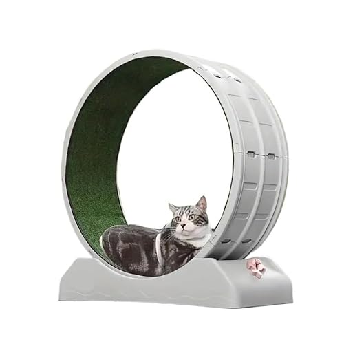 Laufband for Katzenrollen, leises Laufspielzeug for Katzen, körperliche Aktivität, Laufrad for Katzen, Laufrad for Katzen for Teppichbahnen, großes Laufrad for Hauskatzen, geeignet for die meisten Kat Laufband for Katzenrollen, leises Laufspielzeug for Katzen, körperliche Aktivität, Laufrad for Katzen, Laufrad for Katzen for Teppichbahnen, großes Laufrad for Hauskatzen, geeignet for die meisten Kat von AD-BCrbgen