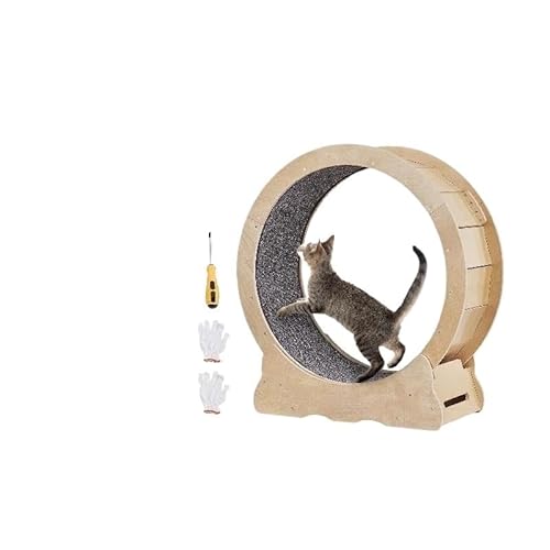 Laufband for Katzenrollen, leises Laufspielzeug for Katzen, körperliche Aktivität, Laufrad for Katzen, Laufrad for Katzen for Teppichbahnen, großes Laufrad for Hauskatzen, geeignet for die meisten Kat Laufband for Katzenrollen, leises Laufspielzeug for Katzen, körperliche Aktivität, Laufrad for Katzen, Laufrad for Katzen for Teppichbahnen, großes Laufrad for Hauskatzen, geeignet for die meisten Kat von AD-BCrbgen