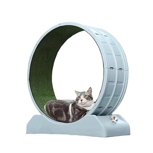 Laufband for Katzenrollen, leises Laufspielzeug for Katzen, körperliche Aktivität, Laufrad for Katzen, Laufrad for Katzen for Teppichbahnen, großes Laufrad for Hauskatzen, geeignet for die meisten Kat Laufband for Katzenrollen, leises Laufspielzeug for Katzen, körperliche Aktivität, Laufrad for Katzen, Laufrad for Katzen for Teppichbahnen, großes Laufrad for Hauskatzen, geeignet for die meisten Kat von AD-BCrbgen