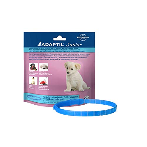 Adaptil Junior Puppy Calming Pheromon-Halsband von ADAPTIL