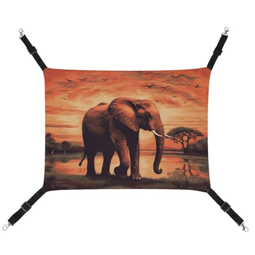 ADASGHBY Haustier-Hängematte, wendbar, für Katzen, weich, Sonnenuntergang, Elefant, Schlafhängematte für Welpen, Hunde, Schweinchen, Kaninchen, Hamster ADASGHBY Haustier-Hängematte, wendbar, für Katzen, weich, Sonnenuntergang, Elefant, Schlafhängematte für Welpen, Hunde, Schweinchen, Kaninchen, Hamster von ADASGHBY