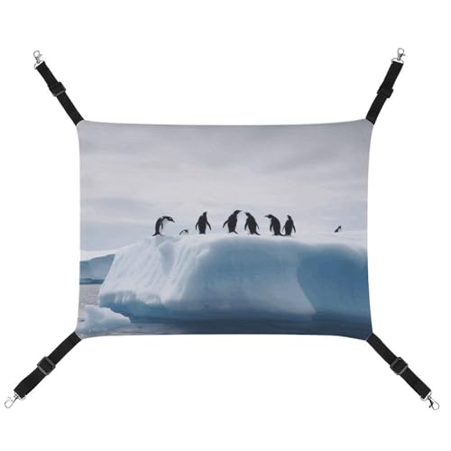 ADASGHBY Haustier-Hängematte, wendbar, für Katzen, weiche Pinguine auf dem Eisberg, Schlafhängematte für Welpen, Hunde, Schweinchen, Kaninchen, Hamster ADASGHBY Haustier-Hängematte, wendbar, für Katzen, weiche Pinguine auf dem Eisberg, Schlafhängematte für Welpen, Hunde, Schweinchen, Kaninchen, Hamster von ADASGHBY