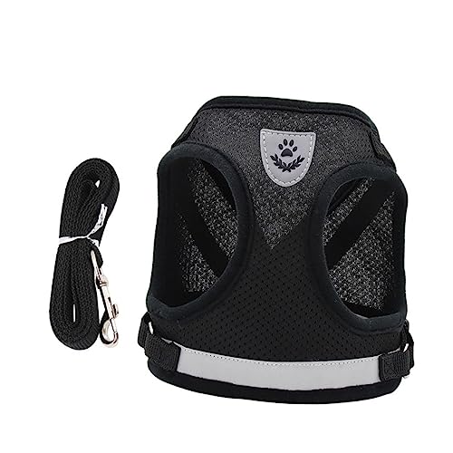 Runde Form for englische Muffins – Grillformer for Frühstück. Welpengeschirr und Leinen-Set. Verstellbares, reflektierendes Hundegeschirr, Weste for Hunde, Fluchtdesign for sichere Spaziergänge und Ab Runde Form for englische Muffins – Grillformer for Frühstück. Welpengeschirr und Leinen-Set. Verstellbares, reflektierendes Hundegeschirr, Weste for Hunde, Fluchtdesign for sichere Spaziergänge und Ab von ADGCFKOP