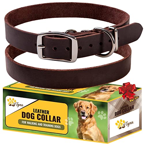 ADITYNA - Hundehalsband Leder für extra große Hunde - Strapazierfähiges Hundehalsband für große Hunderassen - XL Hundehalsband (XL - Hals: 58,4-71,1 cm, Braun) von ADITYNA