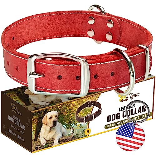 ADITYNA Hundehalsband aus Leder, strapazierfähig, weich und stark, für mittelgroße Hunde, Rot (Größe M: passend für Halsumfang von 33 cm – 50,8 cm, rot) von ADITYNA
